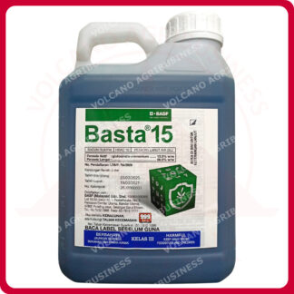 BASTA 15