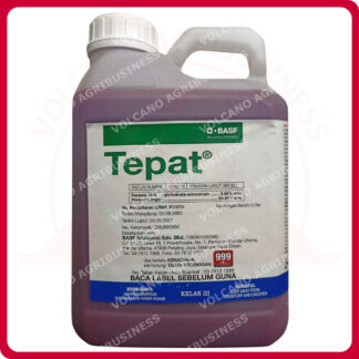 TEPAT
