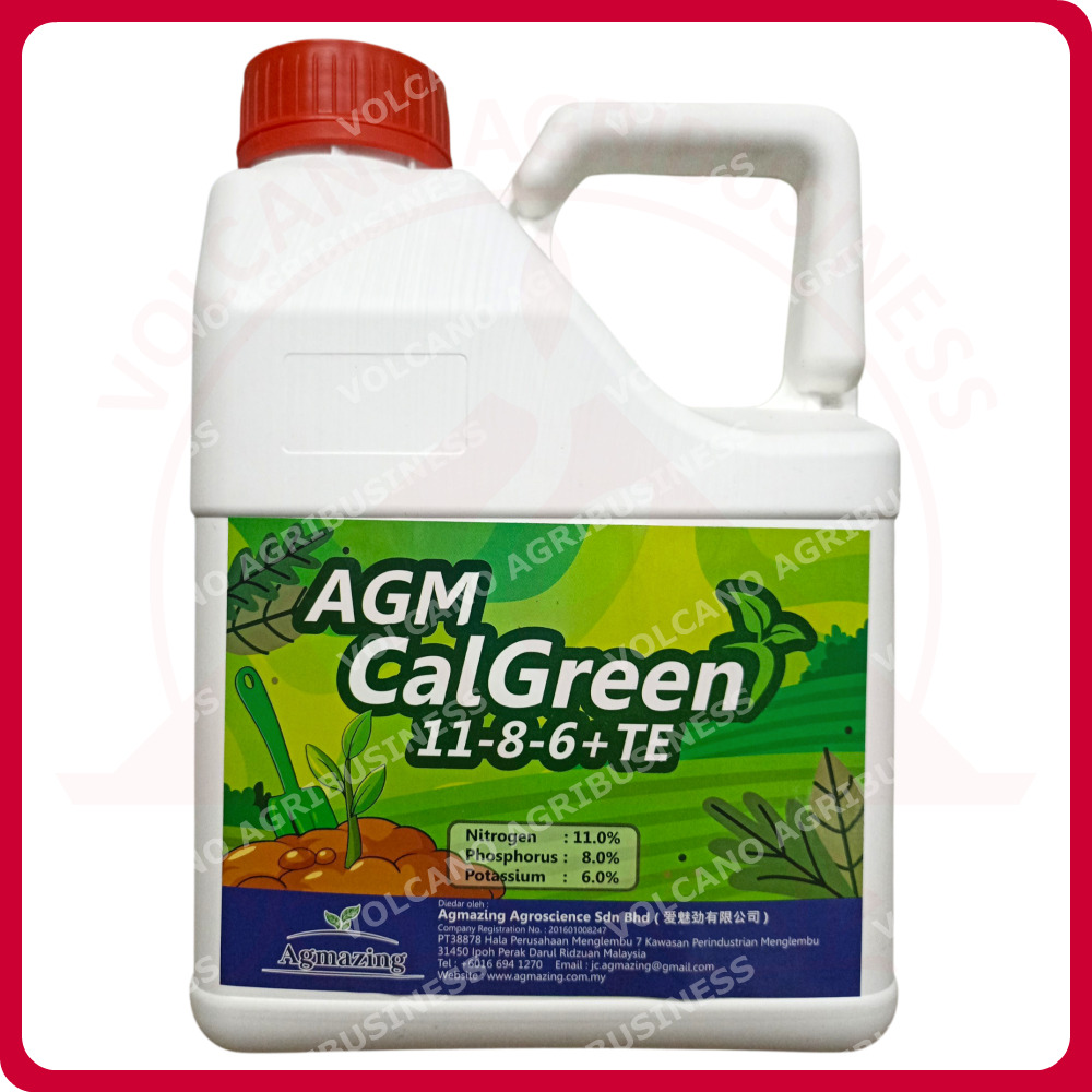 AGM CALGREEN 11-8-6 +TE